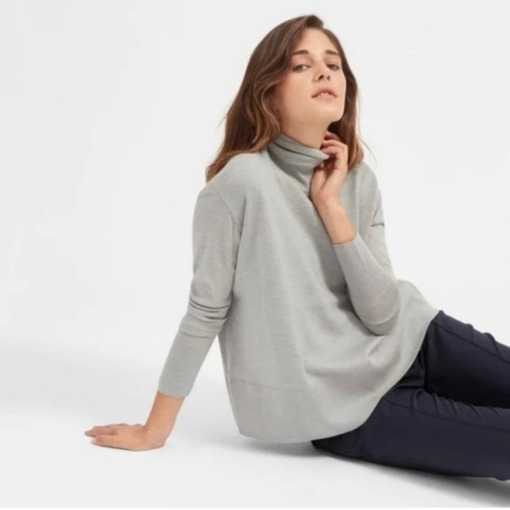 Everlane Luxe Wool Box Turtleneck Sweater
